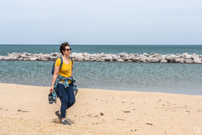 Take a stroll along Isherwood Beach in North Dunes Nature Preserve near Kendron Park.
