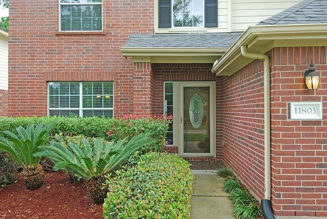 Building Photo - 11803 Rainbow Bridge Ln