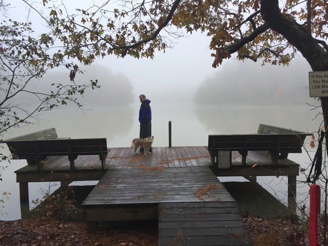Quiet mornings at the Lake - 192 Lake Oglethorpe Dr