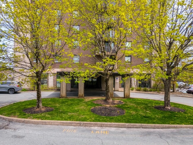 Photo du bâtiment - 290-290 Main Ave