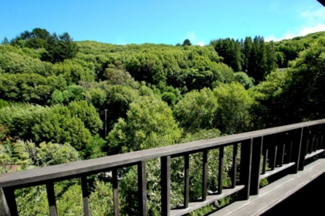 Foto del edificio - 47 Madrone Park Cir