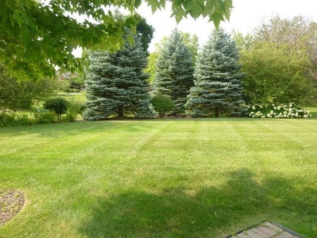 Building Photo - 305 Cobblestone Ct