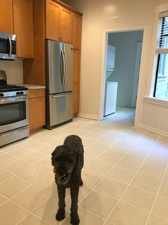 62 Moss St Unit 62, San Francisco, CA 94103 Apartments in San