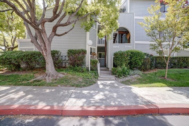 Photo - 3648 Birchwood Terrace Apartment