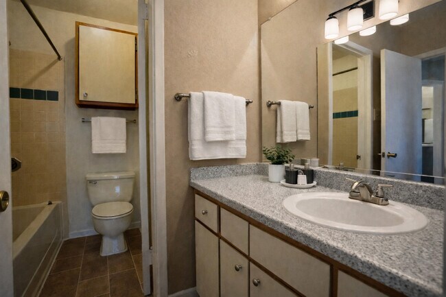 Foto del edificio - The Point at Windmill Lakes