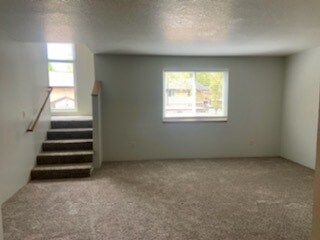 Sala de estar - Willow Creek