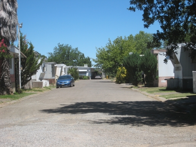 Primary Photo - Homewood Antelope Park