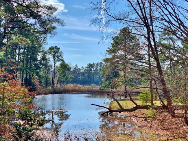 Building Photo - Waterfront Ranch Home - Excellent School Z...