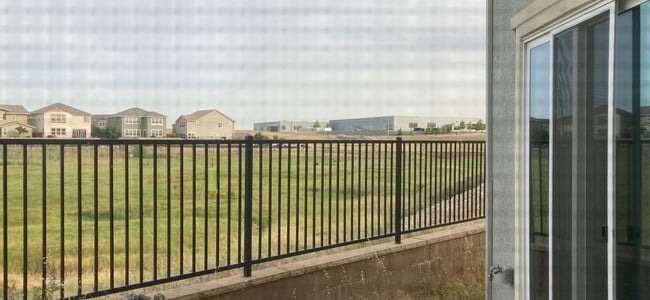 Building Photo - 1097 Sagittaria Ct