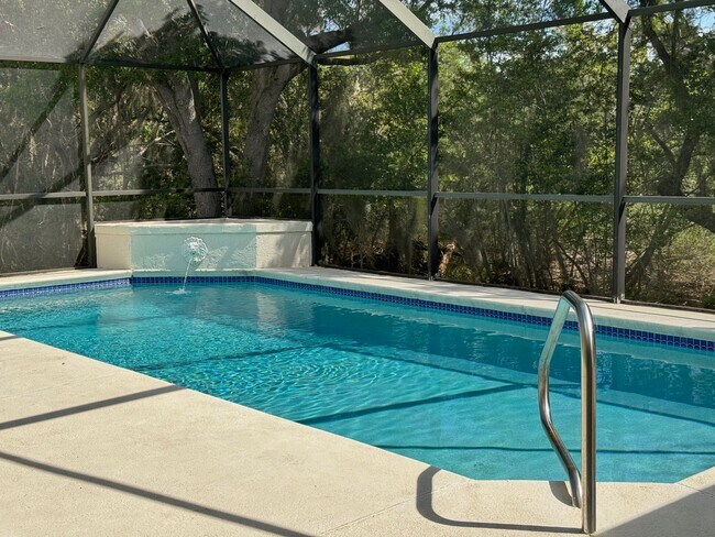 Screened pool in a private setting facing a nature preserve. - 912 N Griffin Shores Dr
