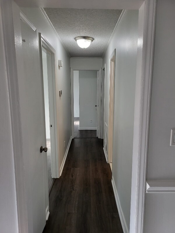 Foto del edificio - 3936 Trescott Ct