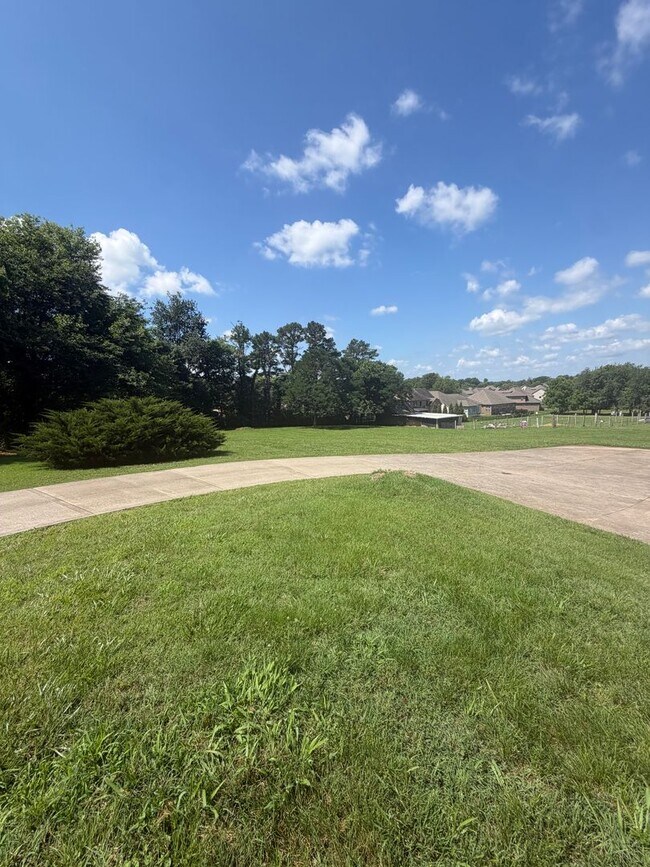 Foto del edificio - Situated in the heart of Sango, massive lot, and includes a fully finished & recently remodeled b...