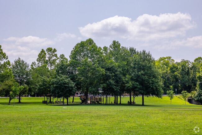 Antioch Park has a playground for kids to play and have fun.