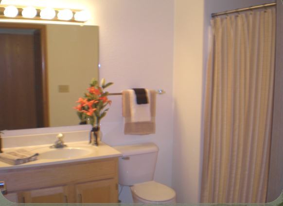 Baño con Conexiones para lav./sec - Deer Creek Village Senior Living 55+
