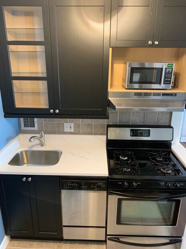 modern renovated kitchen, custom cabinets, quartz, full stainless appliances - 1121 Arlington Blvd