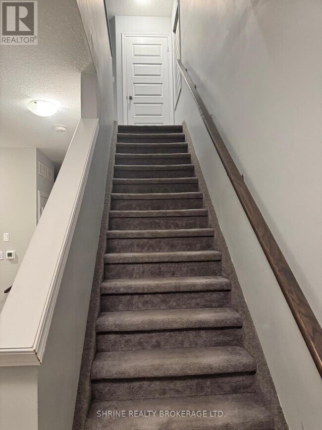 Building Photo - 1704 O'HANLAN LANE