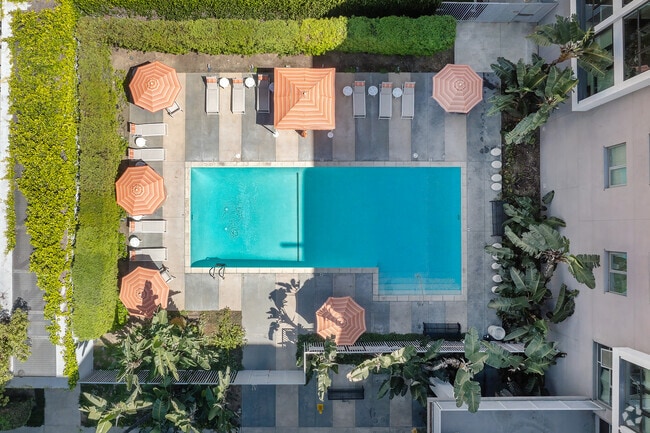 Pool - Wilshire Vermont