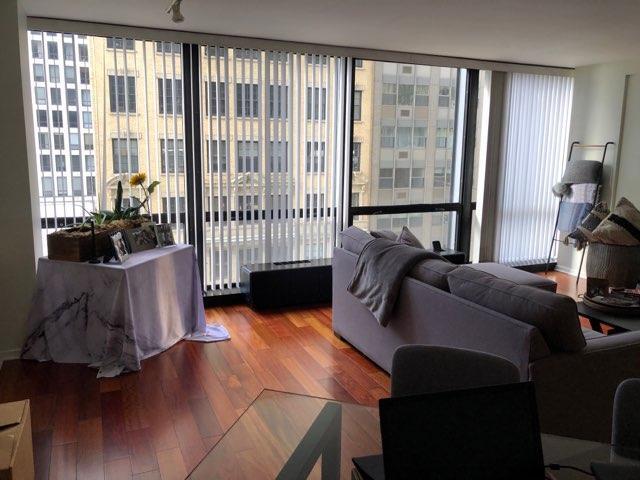 Foto del edificio - 900 N Lake Shore Dr