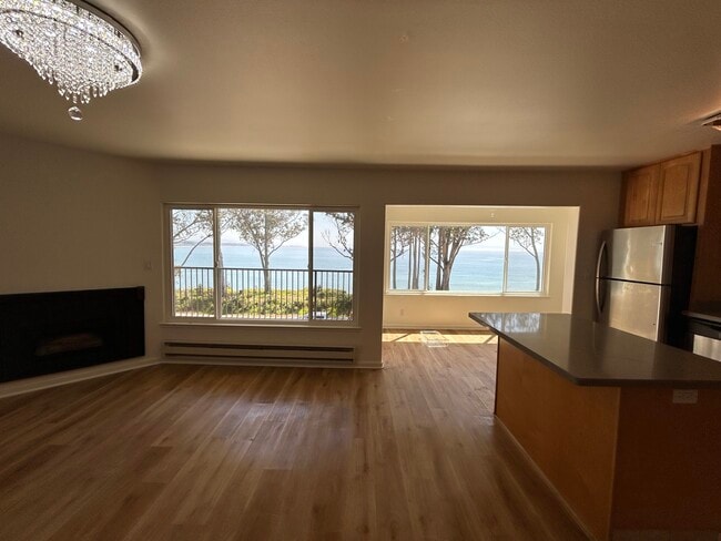 New windows, fireplace - 825 Balboa Ave