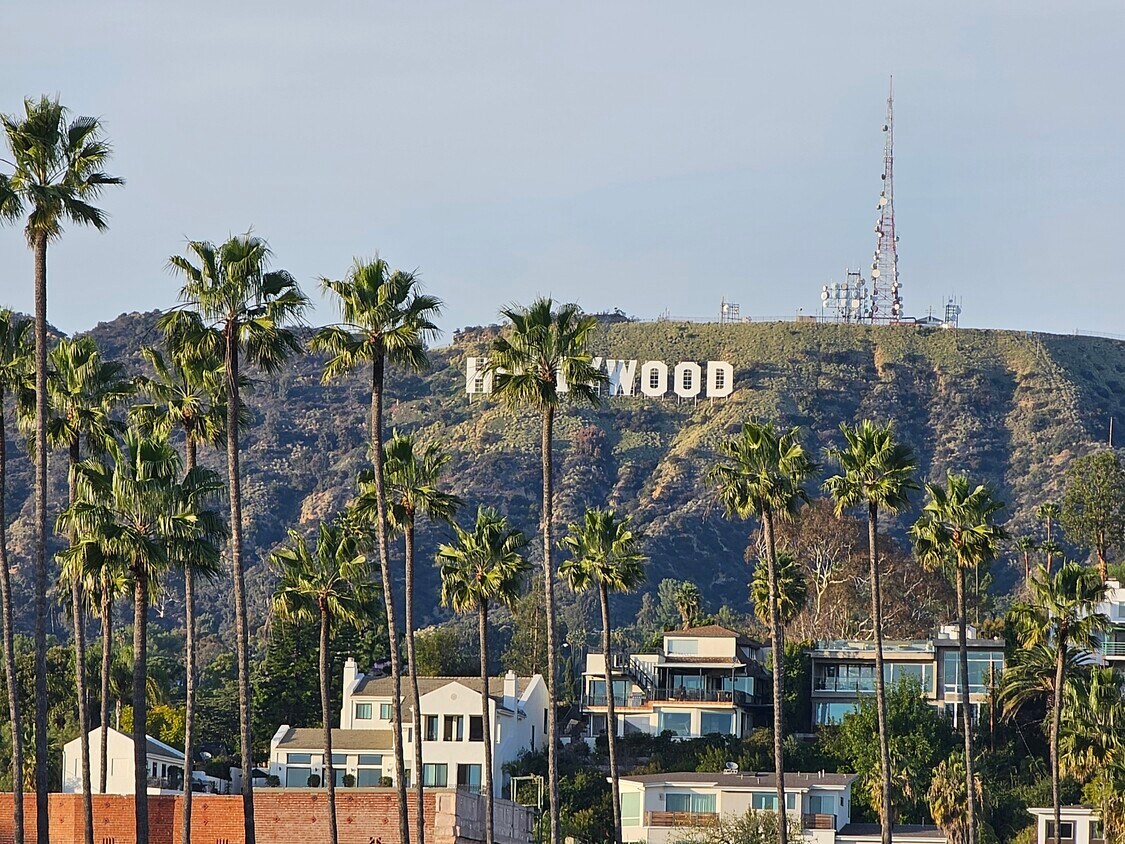 Roof Deck View - Hollywood Sign - 5641 Observation Ln