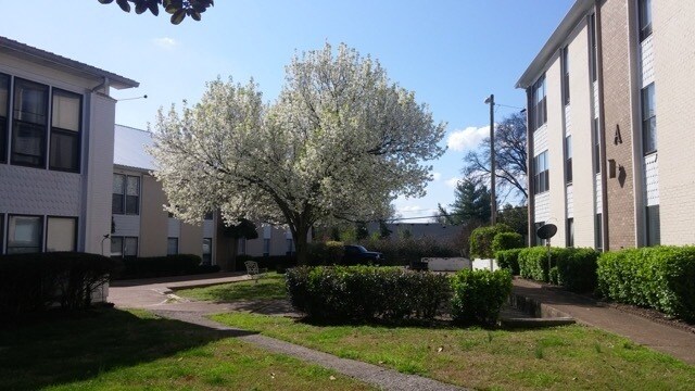 Foto del edificio - 246 White Bridge Pike