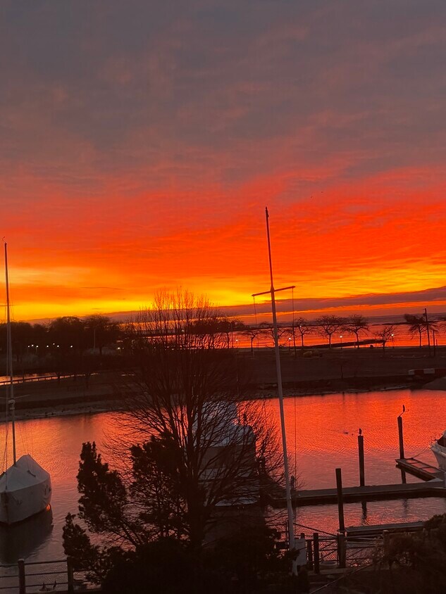 61 Seaview Ave, Stamford, CT 06902 Townhome Rentals in Stamford CT