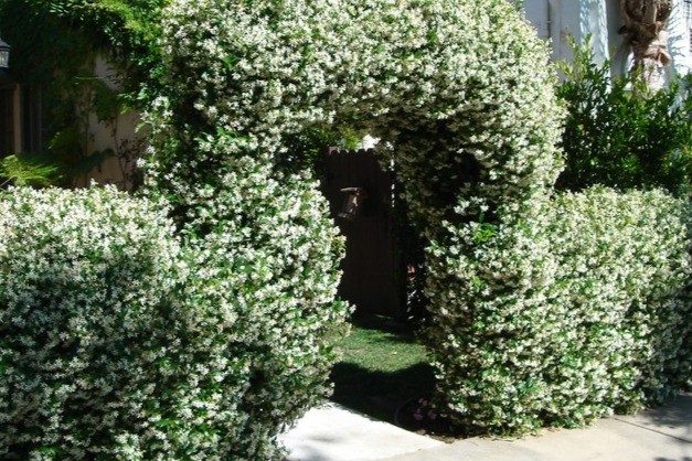 Primary Photo - 814 3/4 N Poinsettia Pl