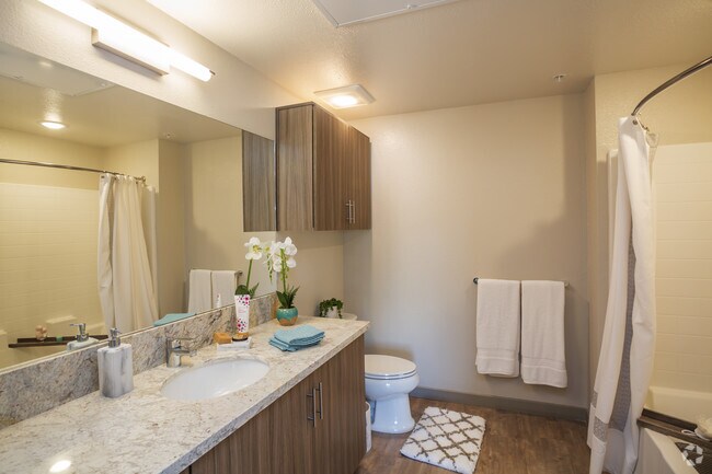 1HAB, 1BA - 588 ft² - The Kimball