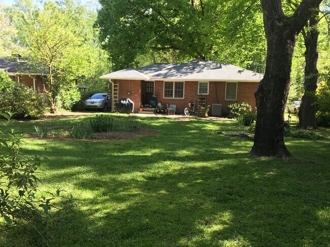 backyard - 4232 Timber Valley Ct