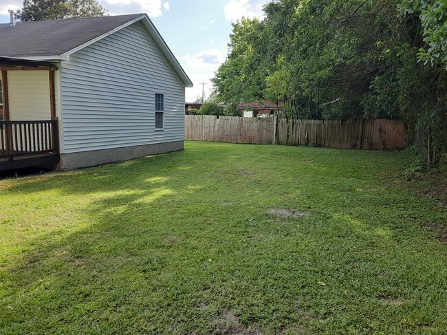 Back Yard - 737 Lincoln St S