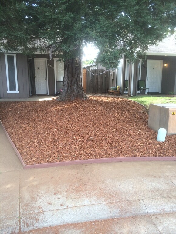Foto principal - 3239 Seal Ct