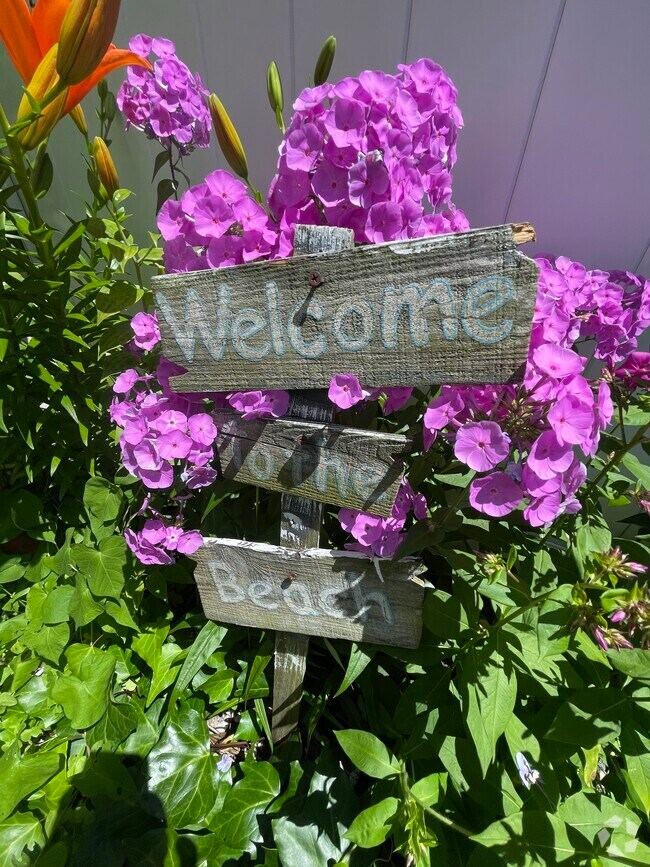 Apartments for Rent in Ventnor NJ