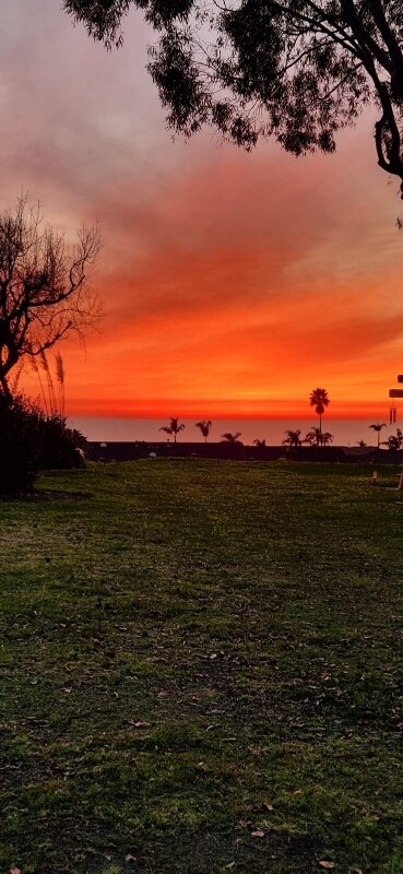 Building Photo - 124 Calle Cuervo