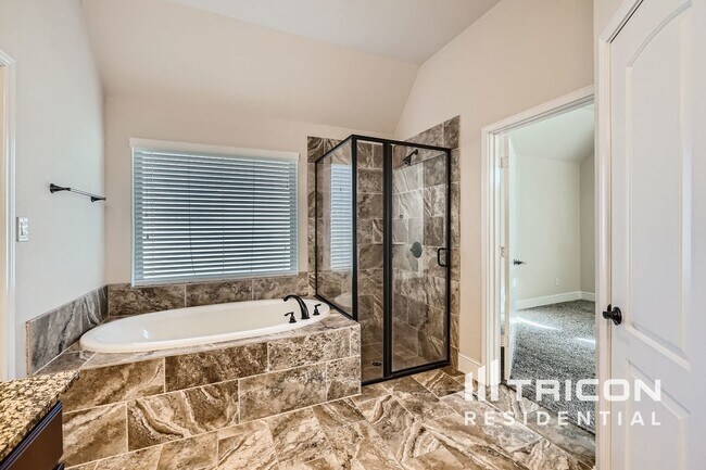 Foto del edificio - 205 Climbing Oaks Pl