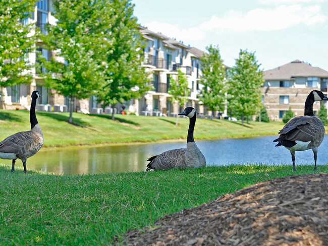 Complejo lleno de naturaleza - Prairie Lakes Apartments