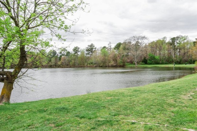 View - Newport Lake