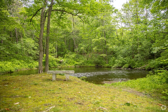 Natural Areas - Birchwood Hills