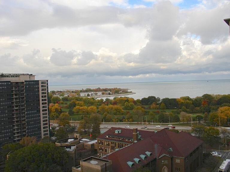 View of the lake from the 18th Floor - 655 W Irving Park Rd