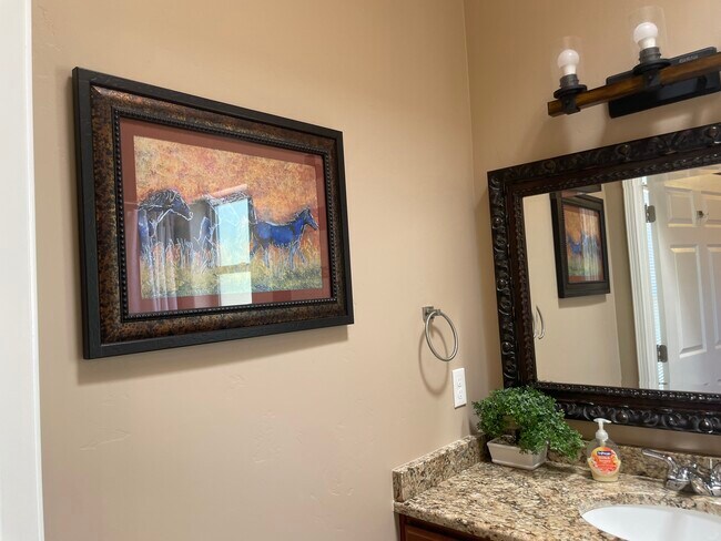 Baño principal - Encimeras de granito - 1935 Mercury Ln