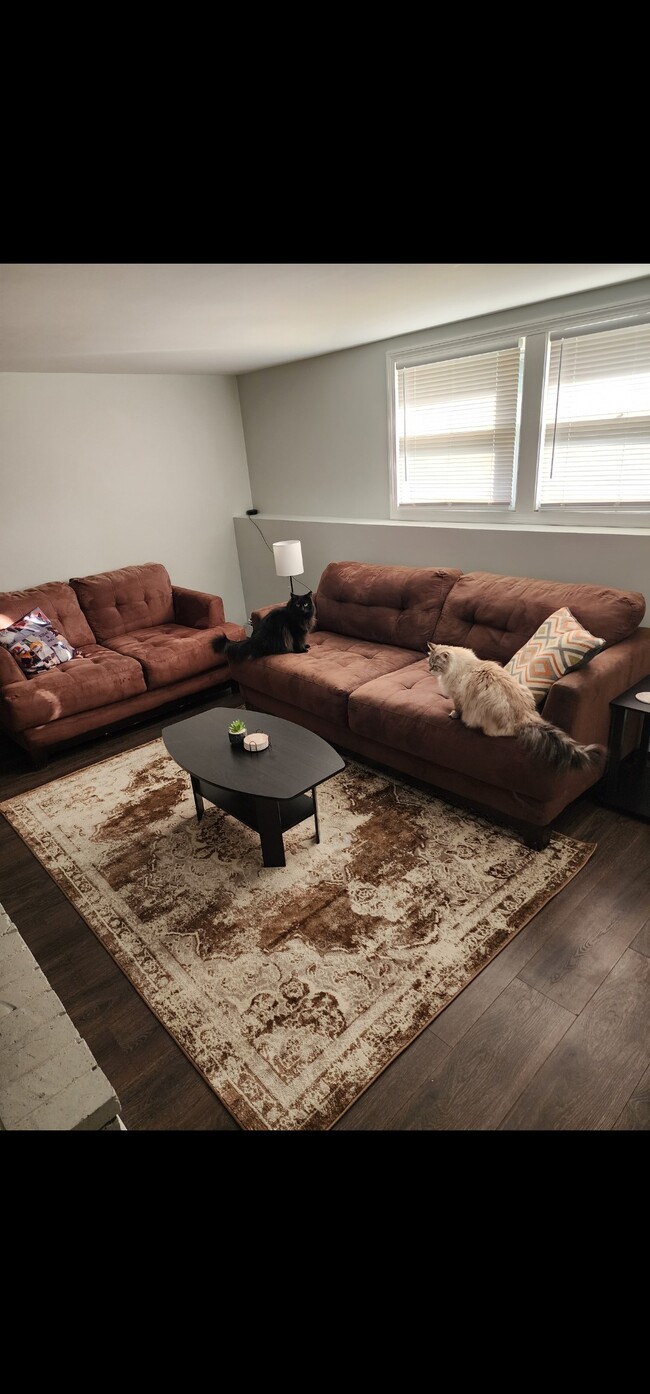 Downstairs living room - 78 Springwood Rd