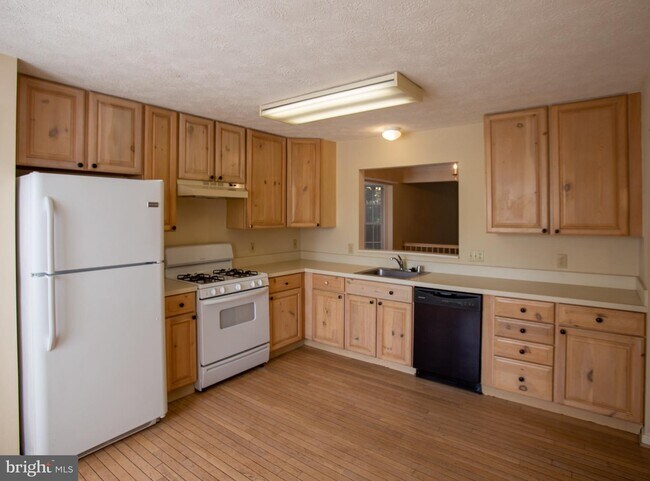 Building Photo - 101 Healy Ct