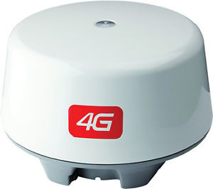 Casa - 7706 Spruce Street