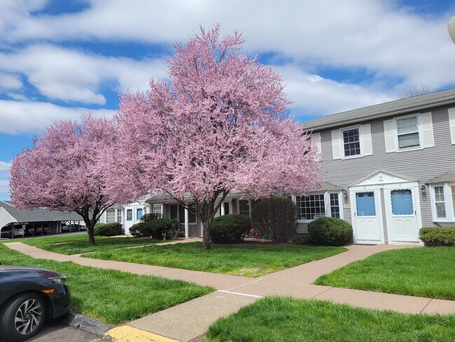 Foto del edificio - 13 Joiners Rd