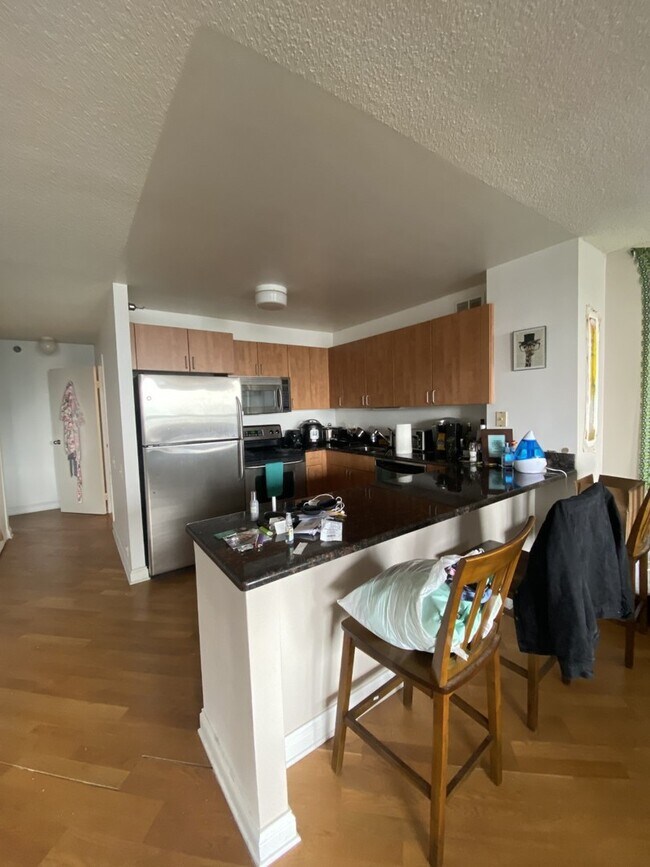 Foto del edificio - 474 N Lake Shore Dr
