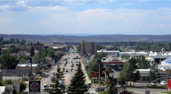 Building Photo - The Bear Necessities