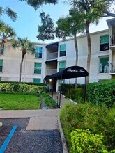 Building Photo - 3325 Bayshore Blvd