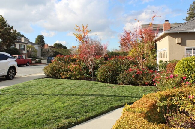 Building Photo - Charming Baywood Knolls Home  in San Mateo