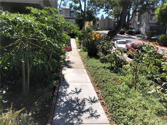 Foto del edificio - 1706 Mountain Terrace Ln
