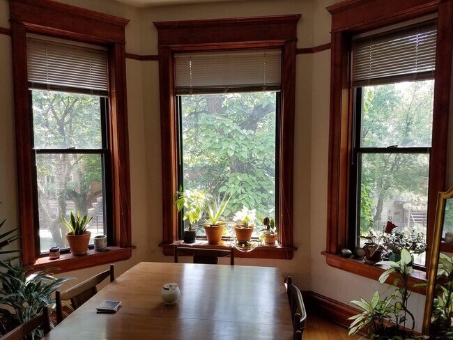 The view from Living room - 1230 W Roscoe St