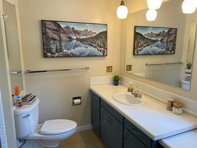 Master bath - 1401 Cedar Ln